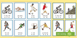 纽约洋基队宣布 2026 赛季将重点加强与南美洲棒球学院的合作，寻找新天才