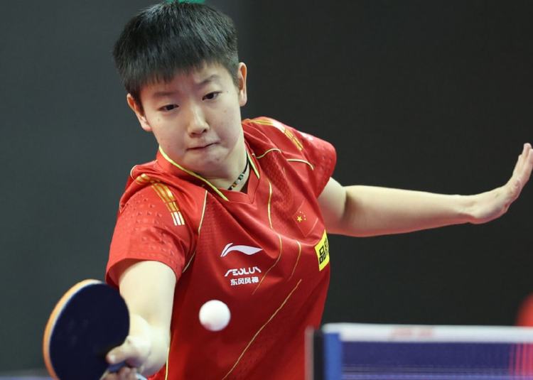 真实记录和 真实记录和